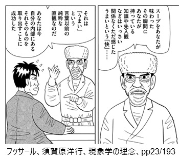 フッサール、須賀原洋行、現象学の理念、pp23/193